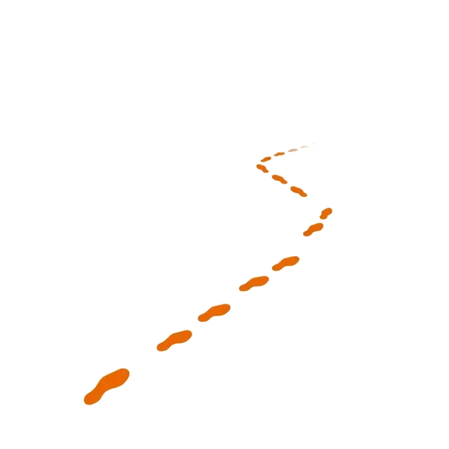 A path of footprints receding into the distance.